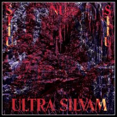 Ultra Silvam - Stiu Nu Stiu